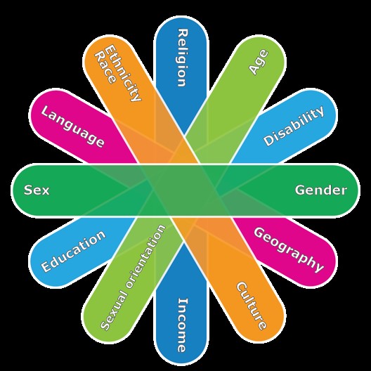 GBA Plus intersectionality wheel 