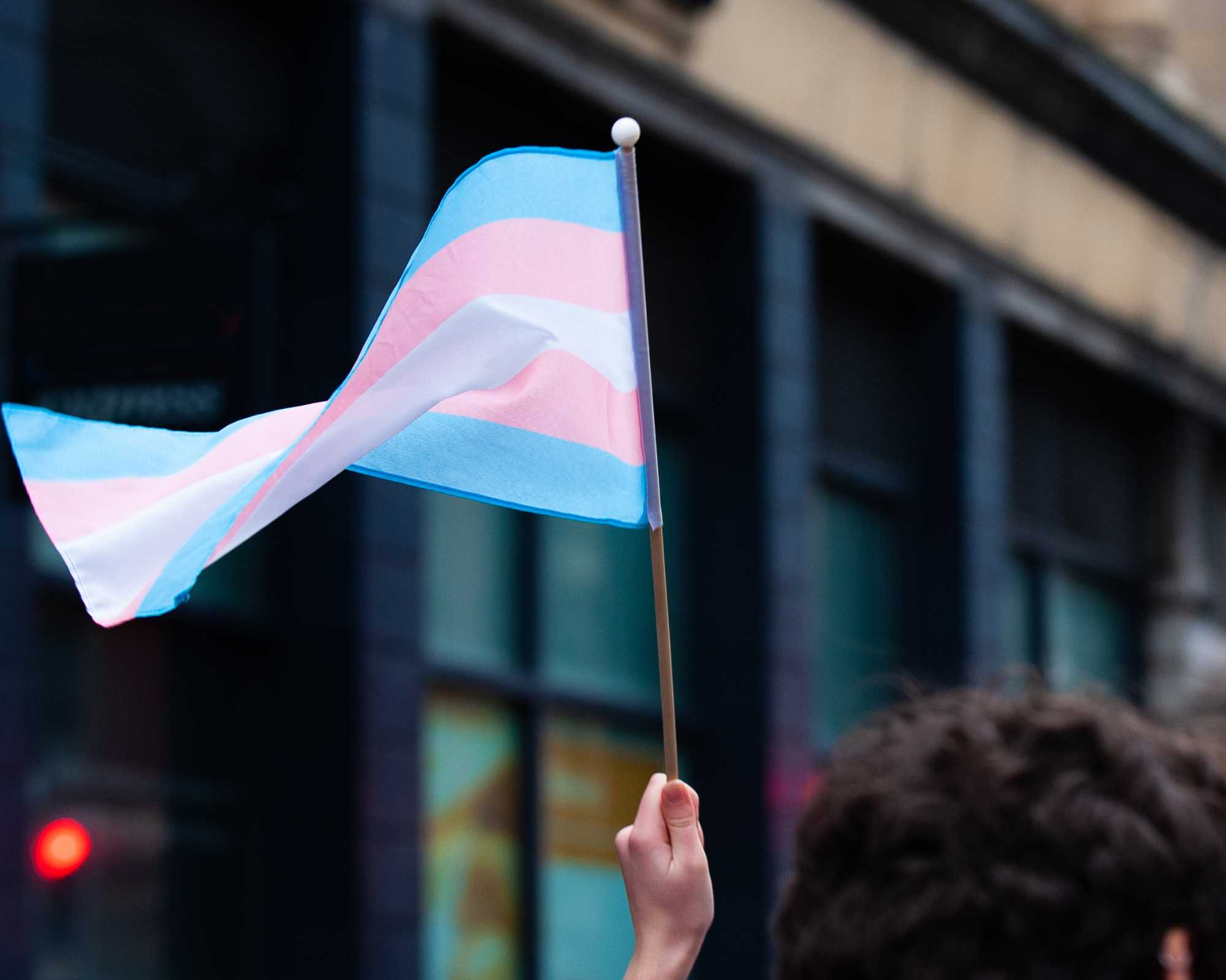 person holding up a trans flag